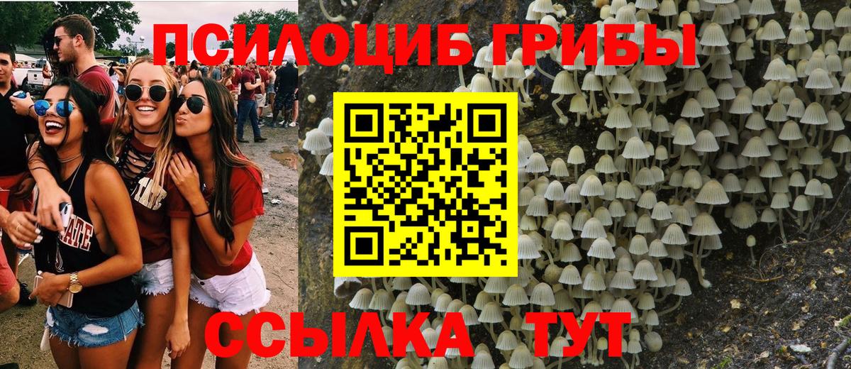 Павлово  Галлюциногенные грибы Psilocybine cubensis  Вход с VPN 