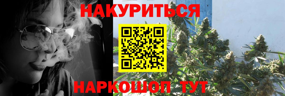 МАРИХУАНА конопля Павлово